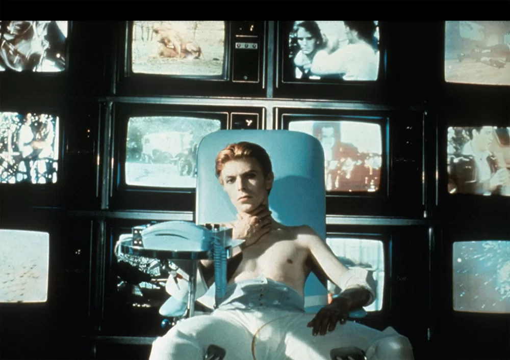 The Man Who Fell to Earth